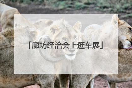 廊坊经洽会上逛车展