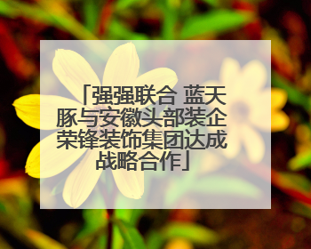 强强联合 蓝天豚与安徽头部装企荣锋装饰集团达成战略合作
