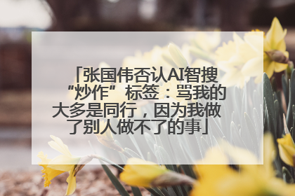 张国伟否认AI智搜“炒作”标签：骂我的大多是同行，因为我做了别人做不了的事