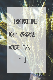张家口阳原：多彩活动庆“六一”