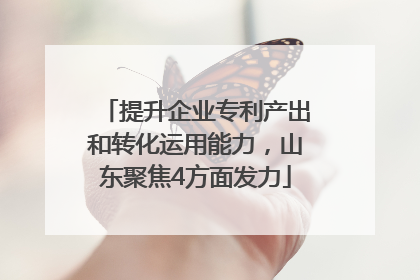 提升企业专利产出和转化运用能力，山东聚焦4方面发力