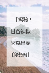 揭秘！甘谷辣椒火爆出圈的密码