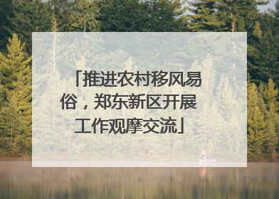 推进农村移风易俗，郑东新区开展工作观摩交流