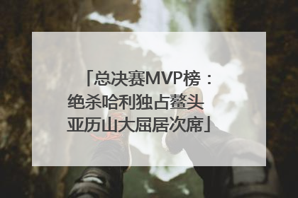 总决赛MVP榜：绝杀哈利独占鳌头 亚历山大屈居次席