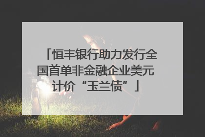 恒丰银行助力发行全国首单非金融企业美元计价“玉兰债”