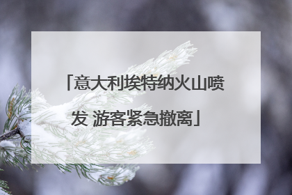 意大利埃特纳火山喷发 游客紧急撤离