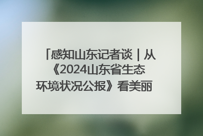 感知山东记者谈｜从《2024山东省生态环境状况公报》看美丽山东建设的“成绩单”与“任务书”