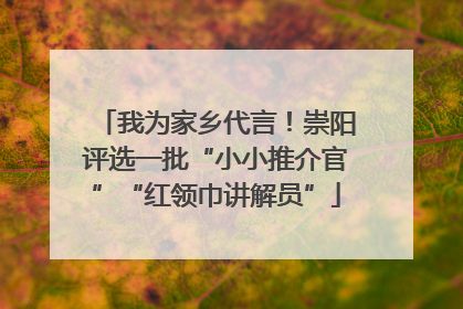 我为家乡代言！崇阳评选一批“小小推介官”“红领巾讲解员”