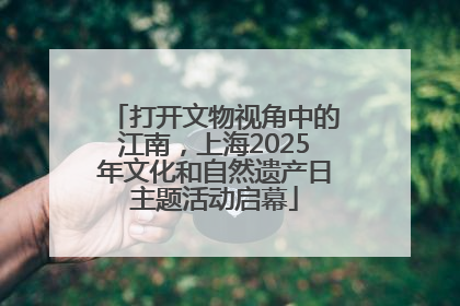 打开文物视角中的江南，上海2025年文化和自然遗产日主题活动启幕