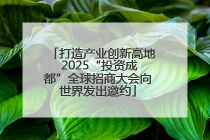 打造产业创新高地 2025“投资成都”全球招商大会向世界发出邀约