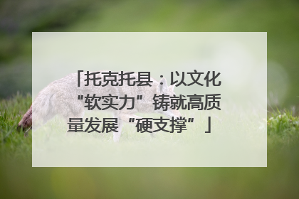 托克托县：以文化“软实力”铸就高质量发展“硬支撑”