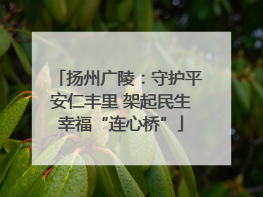 扬州广陵：守护平安仁丰里 架起民生幸福“连心桥”
