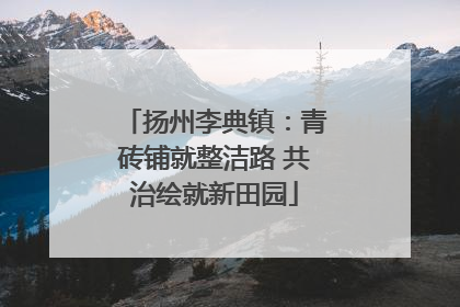 扬州李典镇：青砖铺就整洁路 共治绘就新田园