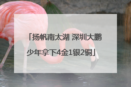 扬帆南太湖 深圳大鹏少年拿下4金1银2铜