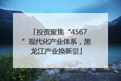 投资聚焦“4567”现代化产业体系，黑龙江产业换新景