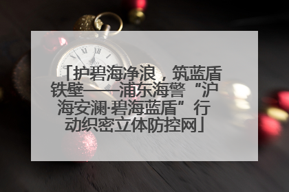 护碧海净浪，筑蓝盾铁壁——浦东海警“沪海安澜·碧海蓝盾”行动织密立体防控网