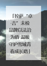拉萨“卓·吉”未检品牌以法治为盾 温暖守护雪域青春成长路