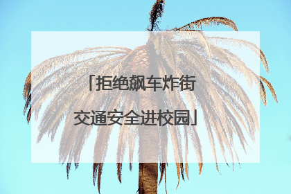 拒绝飙车炸街 交通安全进校园