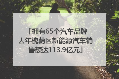 拥有65个汽车品牌 去年槐荫区新能源汽车销售额达113.9亿元