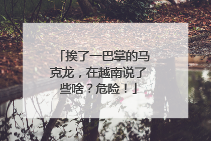 挨了一巴掌的马克龙，在越南说了些啥？危险！