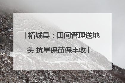 柘城县：田间管理送地头 抗旱保苗保丰收