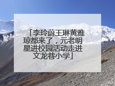 李玲蔚王琳黄雅琼都来了，元老明星进校园活动走进文龙巷小学