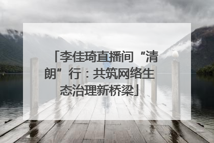 李佳琦直播间“清朗”行：共筑网络生态治理新桥梁