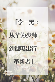 李一男：从华为少帅到锂电出行革新者