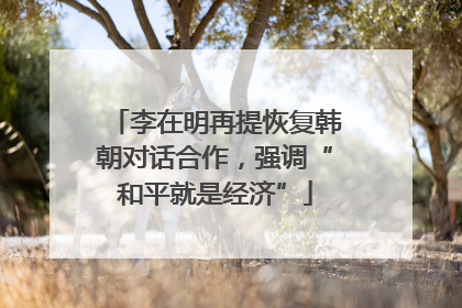 李在明再提恢复韩朝对话合作，强调“和平就是经济”