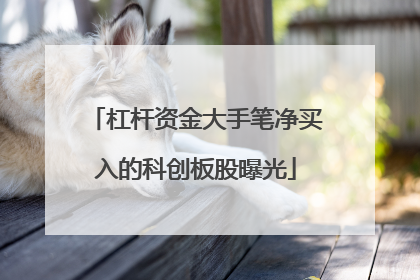 杠杆资金大手笔净买入的科创板股曝光