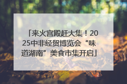 来火宫殿赶大集！2025中非经贸博览会“味道湖南”美食市集开启