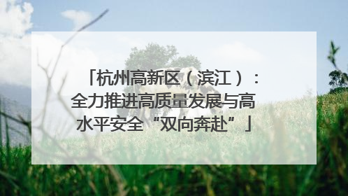 杭州高新区（滨江）：全力推进高质量发展与高水平安全“双向奔赴”