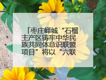 枣庄峄城“石榴主产区铸牢中华民族共同体意识联盟项目”将以“六联”活动为抓手深化品牌建设