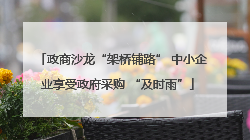政商沙龙“架桥铺路” 中小企业享受政府采购 “及时雨”