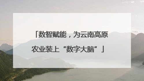数智赋能，为云南高原农业装上“数字大脑”