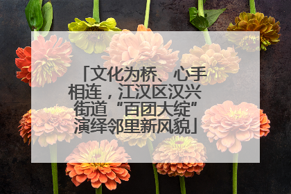 文化为桥、心手相连，江汉区汉兴街道“百团大绽”演绎邻里新风貌
