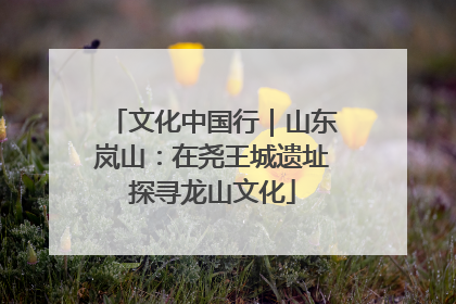 文化中国行｜山东岚山：在尧王城遗址探寻龙山文化