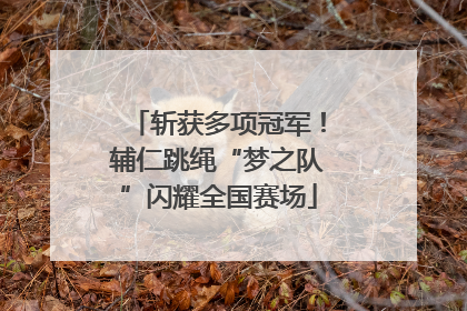 斩获多项冠军！辅仁跳绳“梦之队”闪耀全国赛场