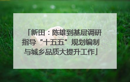 新田：陈雄到基层调研指导“十五五”规划编制与城乡品质大提升工作