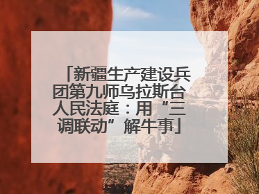 新疆生产建设兵团第九师乌拉斯台人民法庭：用“三调联动”解牛事