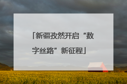 新疆孜然开启“数字丝路”新征程