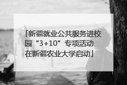 新疆就业公共服务进校园“3+10”专项活动在新疆农业大学启动