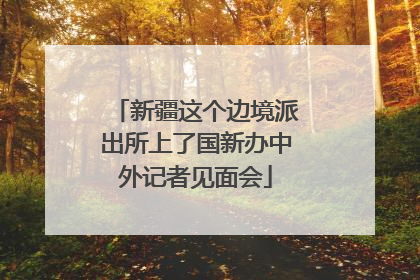 新疆这个边境派出所上了国新办中外记者见面会