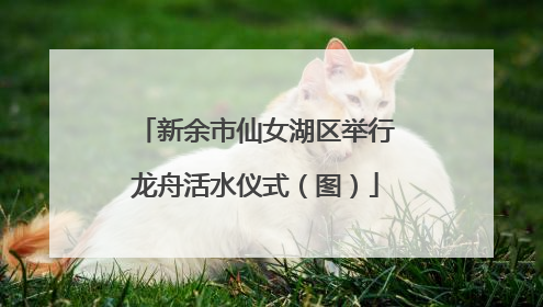 新余市仙女湖区举行龙舟活水仪式（图）