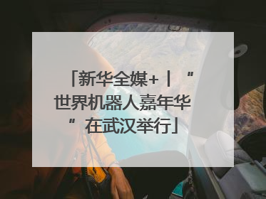 新华全媒+丨“世界机器人嘉年华”在武汉举行