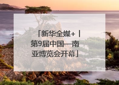 新华全媒+丨第9届中国—南亚博览会开幕