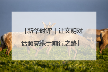 新华时评丨让文明对话照亮携手前行之路