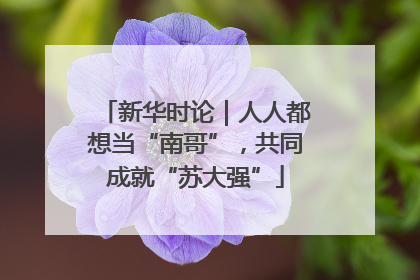 新华时论｜人人都想当“南哥”，共同成就“苏大强”