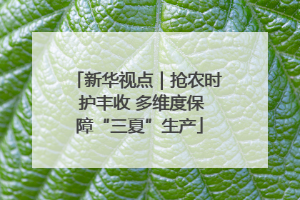 新华视点｜抢农时 护丰收 多维度保障“三夏”生产