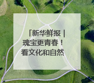 新华鲜报｜瑰宝更青春！看文化和自然遗产新光彩